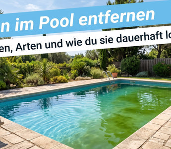 Pool mit grünlich getrübtem Algenwasser in der Sommersonne als Titelbild zum Ratgeber Algen im Pool entfernen von TerraUno