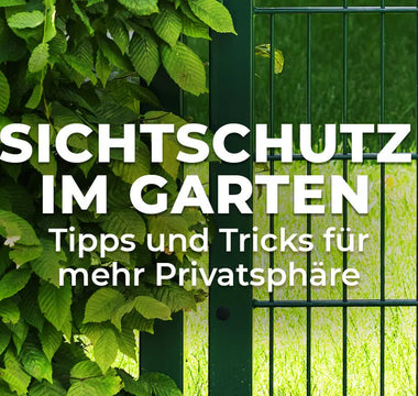 Sichtschutz im Garten - °Tipps und Tricks