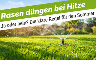 Sattgrüner Sommerrasen wird bei starker Hitze mit einem Sprinkler bewässert – Symbolbild zum richtigen Rasendüngen im Sommer.