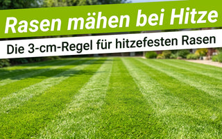 Frisch gemähter grüner Rasen mit sauberen Mähstreifen in der Sommersonne, Garten leicht unscharf im Hintergrund