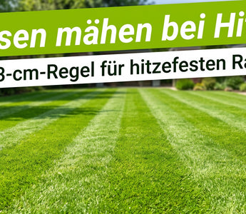 Frisch gemähter grüner Rasen mit sauberen Mähstreifen in der Sommersonne, Garten leicht unscharf im Hintergrund