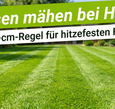 Frisch gemähter grüner Rasen mit sauberen Mähstreifen in der Sommersonne, Garten leicht unscharf im Hintergrund
