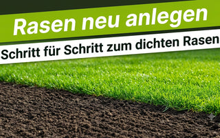 Frisch angelegter, dicht gekeimter Rasen auf vorbereitetem Boden – Schritt für Schritt zur Rasen-Neuanlage mit TerraUno