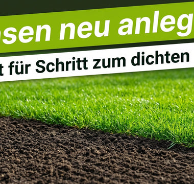 Frisch angelegter, dicht gekeimter Rasen auf vorbereitetem Boden – Schritt für Schritt zur Rasen-Neuanlage mit TerraUno