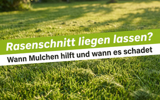 Banner Rasenschnitt liegen lassen: frisch gemähter grüner Rasen mit feinem Schnittgut zwischen den Halmen