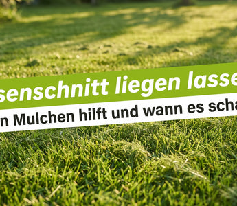 Banner Rasenschnitt liegen lassen: frisch gemähter grüner Rasen mit feinem Schnittgut zwischen den Halmen
