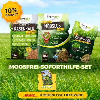 Das TerraUno Moosfrei Soforthilfe-Set für die Rasenpflege - Rasenkalk, Moosentferner und Rasensamen - ist auf einer Wiese mit blauem Himmel abgebildet, eine Plakette markiert 10 Rabatt, und darunter ist "Moosfrei-Soforthilfe-Set" mit kostenloser DHL-Lieferung hervorgehoben.