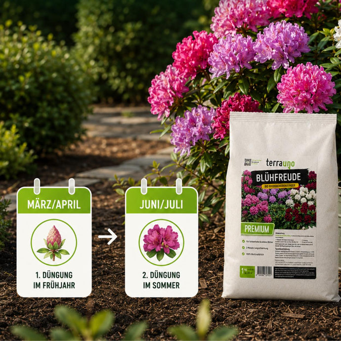 Ein Sack TerraUno Blühfreude-Dünger steht in einem Garten mit blühenden rosa und violetten Rhododendren. Zwei Schilder weisen auf die Düngung im März/April Frühjahr und im Juni/Juli Sommer hin.