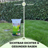 Ein Vorher-Nachher-Vergleich: Links ist der Rasen mit einem Beutel TerraUno Garten-  Rasenkalk zur pH-Regulierung fleckig, rechts zeigt sich ein moosfreier, dichter, gesunder Rasen. Text: Sichtbar dichter  gesunder Rasen.