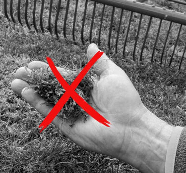 Eine Hand hält einen Büschel totes Gras mit einem großen roten X darüber; im Hintergrund sind ein Rechen und Gras zu sehen.