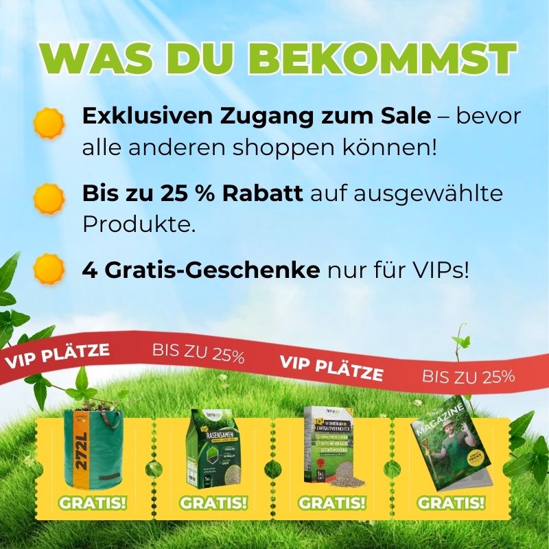 Werbegrafik in deutscher Sprache mit einer Auflistung der VIP-Vorteile: exklusiver Zugang zum Verkauf, bis zu 25  Rabatt auf ausgewählte Produkte und 4 kostenlose Geschenke. Die untere Reihe zeigt vier grüne und gelbe Geschenkboxen mit der Aufschrift GRATIS.