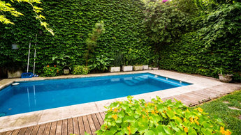 Ein rechteckiger Swimmingpool, umgeben von Holzterrassen und üppigen Grünpflanzen, mit dichtem Efeu an den Wänden im Hintergrund und Topfpflanzen an einer Seite.