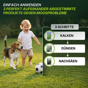 Ein kleiner Junge und ein Hund spielen auf einem grünen Rasen. Der Text erklärt die drei Schritte der Rasenpflege - Kürzen, Düngen und Nachsäen - mit dem TerraUno Moosfrei Soforthilfe Set, mit Bildern der vorgestellten Produkte.