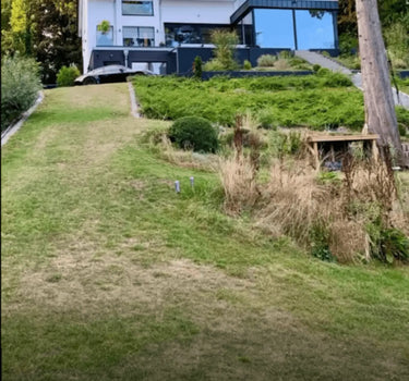 Ein modernes weißes Haus mit großen Fenstern steht auf einer Anhöhe, umgeben von grünen Sträuchern, Bäumen und einem grasbewachsenen Rasen mit einer Holzbank und einem hohen Pfahl im Vordergrund.