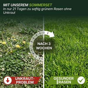 Ein Vergleichsbild zeigt einen mit Unkraut überwucherten Rasen auf der linken Seite mit der Aufschrift "UNKRAUT-PROBLEM" und einen üppigen, grünen Rasen auf der rechten Seite mit der Aufschrift "GESUNDER RASEN". Darüber steht zu lesen: MIT TERRAUNO SOMMERSET MIT UNKRAUTVERNICHTER... NACH 3 WOCHEN.