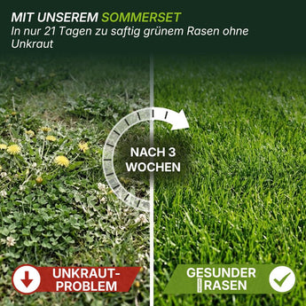 Ein Vergleichsbild zeigt einen mit Unkraut überwucherten Rasen auf der linken Seite mit der Aufschrift "UNKRAUT-PROBLEM" und einen üppigen, grünen Rasen auf der rechten Seite mit der Aufschrift "GESUNDER RASEN". Darüber steht zu lesen: MIT TERRAUNO SOMMERSET MIT UNKRAUTVERNICHTER... NACH 3 WOCHEN.