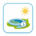 Eine Illustration eines kleinen runden Pools mit grünen Algen, einer Sonne am Himmel und einer Uhr mit 24-Stunden-Anzeige, die darauf hindeutet, dass das Wasser einen Tag lang in der Sonne gestanden hat.