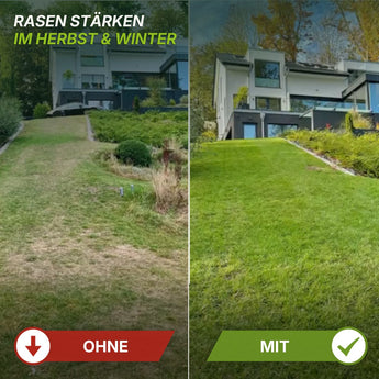 Geteiltes Bild, das einen abfallenden Garten zeigt: auf der linken Seite lückiges, braunes Gras mit der Beschriftung „OHNE“, auf der rechten Seite üppiges, grünes Gras mit der Beschriftung „MIT“. Im Hintergrund ein modernes Haus; der Text darüber lautet: „RASEN STÄRKEN IM HERBST  WINTER“. Auf der rechten Seite sorgt das TerraUno Herbst-Rasendünger-Set + GRATIS-Unkrautvernichter – zusammen mit gezielter Nachsaat für sattes Grün – für die perfekte Pflege gegen kahle Stellen im Herbst und Winter.