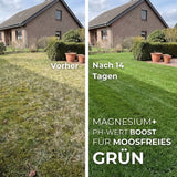 Geteiltes Bild eines Hauses mit Rasen: links ist ein lückenhafter, gelber Rasen mit der Aufschrift "Vorher" zu sehen, rechts ein üppiger, grüner Rasen mit der Aufschrift "Nach 14 Tagen". Text: TerraUno Garten-  Rasenkalk reguliert den pH-Wert und sorgt für moosfreien Rasen.