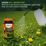 Eine Hand sprüht Sommerset mit Unkrautvernichter von TerraUno auf einen grünen Rasen mit Löwenzahn. Im Vordergrund ist der Produktbehälter mit deutschem Text zu sehen, der die Wirksamkeit gegen mehr als 40 Unkrautarten hervorhebt.