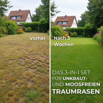 Geteiltes Bild eines Rasens: linke Seite fleckig und braun, beschriftet mit "Vorher"; rechte Seite saftig und grün nach 3 Wochen. Text unten: Das TerraUno Frühlingsstarter-Set - 3-in-1 Rasenpflege mit Dünger  Samen für einen schönen, gesunden Rasen.