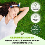 Eine lächelnde Frau liegt auf grünem Gras. Grafik-Highlight: Schnelle Wirkung, saftiges Grün, moosfreier Rasen, fein gekörnt. Unten: TerraUno Garten-  Rasenkalk - Gesunder Rasen, starke Wurzeln, dichter Wuchs, weniger Moos.
