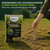Eine Person streut mit der Hand Saatgut auf einen unregelmäßigen Rasen. Im Vordergrund steht ein Sack TerraUno Sommerset mit Unkrautvernichter, der für dichtes, kräftiges, grünes Gras sorgt. Der deutsche Text hebt die Vorteile für einen gesünderen Rasen hervor.