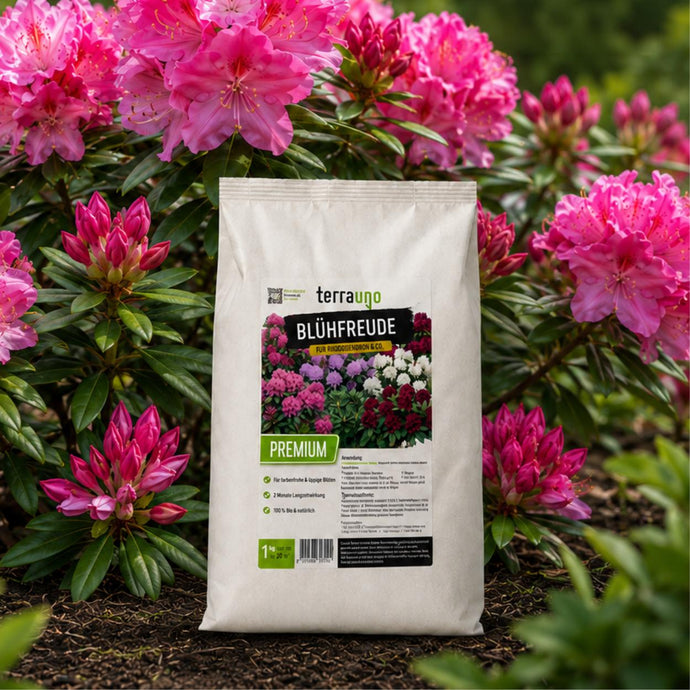 In einem üppigen Garten steht ein Sack „Terrayno Blühfreude“-Premium-Pflanzendünger inmitten leuchtend rosa Rhododendronblüten. Auf der Verpackung sind Bilder von blühenden Blumen sowie Produktdetails abgebildet.