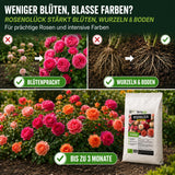 Ein Vergleich zwischen Rosensträuchern mit und ohne TerraUno Rosenglück – Bio-Rosendünger zeigt gesunde Wurzeln und einen Sack Dünger. Die Text-Highlights lauten: mehr Blüten, kräftige Wurzeln, leuchtende Farben und eine Wirkdauer von bis zu 3 Monaten.