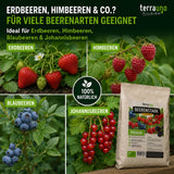 Eine Anzeige zeigt einen Sack „TerraUno Beerenstark – Bio-Beerdünger“ mit Erdbeeren, Himbeeren, Heidelbeeren und roten Johannisbeeren und hebt dabei die kaliumreiche Rezeptur für Beerenpflanzen sowie einen deutschen Text hervor, in dem verschiedene Beerenarten aufgeführt sind.