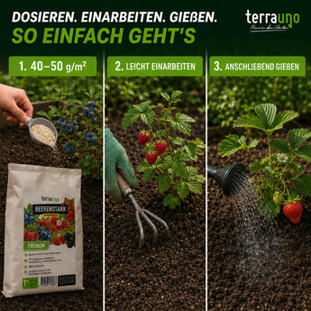 Anwendungshinweise für TerraUno Beerenstark – Bio-Beerdünger: Das Granulat in die Nähe der Beerenpflanzen streuen, mit einem Handwerkzeug in den Boden einarbeiten und anschließend gießen. Abgebildet sind ein Düngerbeutel und ein Gartenhandschuh; in der deutschen Gebrauchsanweisung wird Kalium erwähnt.