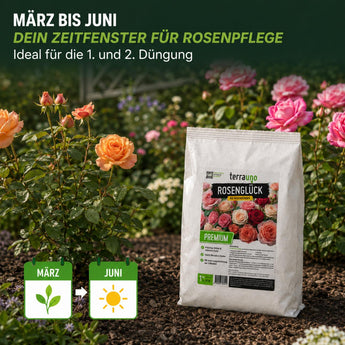 Ein Beutel „TerraUno Rosenglück – Bio-Rosendünger“ wird in einem Rosengarten platziert. Der deutsche Text hebt den optimalen Düngungszeitraum für Rosen von März bis Juni hervor, wobei Symbole das Pflanzenwachstum in diesen Monaten veranschaulichen.
