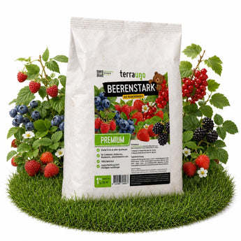 Ein weißer Sack „TerraUno Beerenstark – Bio-Beerdünger“ steht auf dem Rasen, umgeben von frischen Himbeeren, Heidelbeeren, Brombeeren, roten Johannisbeeren und Erdbeerpflanzen – ideal für gesunde Beerenpflanzen mit einem Extra an Kalium.