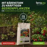 Ein Beet zeigt links traurige, nährstoffarme Beerenpflanzen „Nährstoffmangel“ und rechts gesunde, prächtig gedeihende Beeren „Starke Ernte“ – dank TerraUno Beerenstark – Bio-Beerdünger in der Mitte.