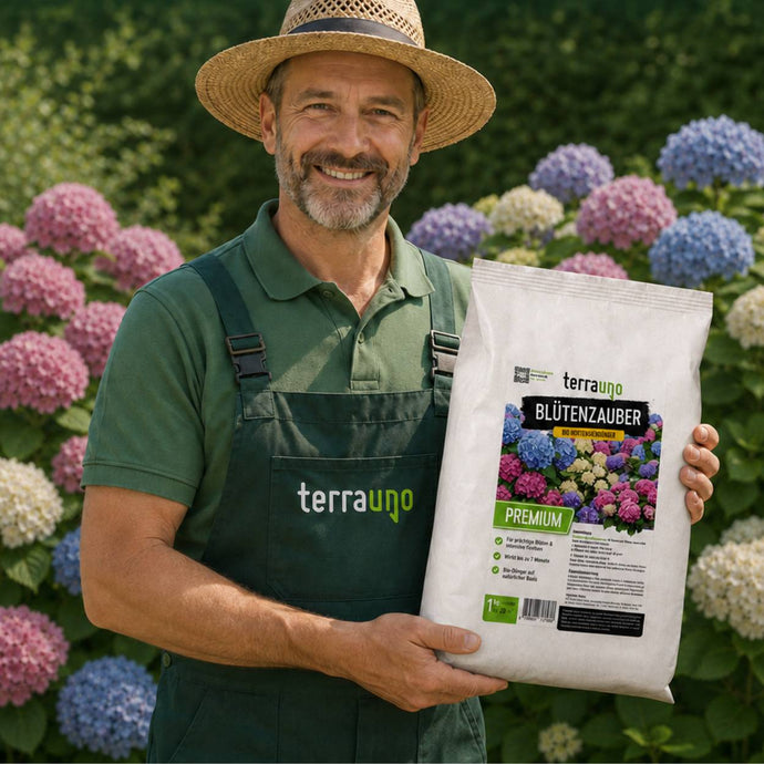 Ein lächelnder Mann mit Strohhut und einer grünen „Terrauno“-Schürze hält eine Tüte „Blütenzauber“-Premium-Pflanzendünger in der Hand, im Hintergrund sind blühende Hortensien zu sehen.