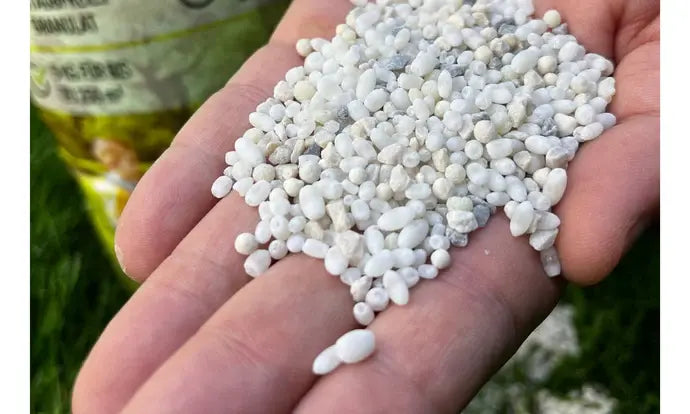 Nahaufnahme einer Hand, die einen Haufen kleiner, weißer, körniger Düngemittelkügelchen hält, mit einem verschwommenen Sack im Hintergrund.