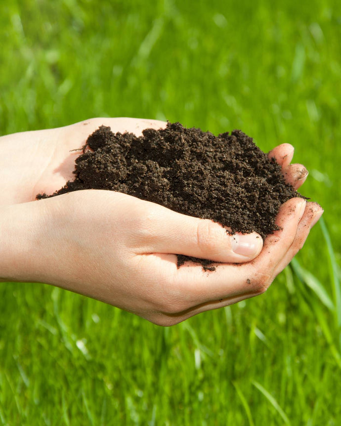 Ein Paar Hände, die sanft einen Hügel aus dunkler, reicher Erde mit grünem, grasbewachsenem Hintergrund halten.