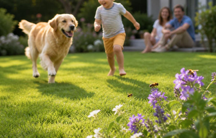 Ein Golden Retriever rennt mit einem kleinen Kind über grünes Gras, während im Hintergrund zwei Erwachsene sitzen. Im Vordergrund blühen lila und weiße Blumen, die Bienen anlocken. Die Szene in einem Garten hinter dem Haus wirkt hell und fröhlich.