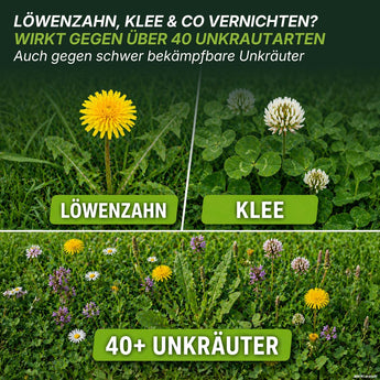 Verbreiten sich Löwenzahn, Klee und viele andere Unkräuter auf Ihrem Rasen? Mit dem Herbst-Rasendünger-Set + GRATIS-Unkrautvernichter – Angebot von TerraUno bekämpfen Sie über 40 Unkrautarten, darunter auch schwer zu entfernende Unkräuter. Für einen dauerhaft gesunden Rasen empfiehlt sich die ideale Kombination aus gezielter Unkrautbekämpfung und anschließender Düngung im Herbst.