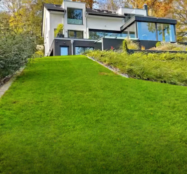 Ein modernes weißes Haus mit großen Glasfenstern steht auf einem Hügel, umgeben von hohen Bäumen mit Herbstlaub und einem üppigen, grünen, abfallenden Rasen im Vordergrund.