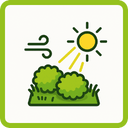 Die Ikone zeigt zwei grüne Büsche auf Gras mit Sonnenschein und Sonnenstrahlen darüber und zwei Windböen auf der linken Seite, alles innerhalb eines grün umrandeten Quadrats.