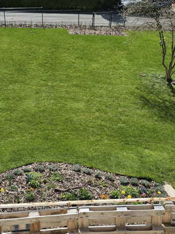 Ein ordentlich gemähter grüner Rasen mit einem Blumenbeet mit verschiedenen kleinen Pflanzen und Blumen im Vordergrund, ein Baum rechts und eine Straße mit einem Zaun im Hintergrund.