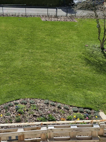 Ein gepflegter grüner Rasen mit einem kleinen Blumenbeet, das unten mit Holz eingefasst ist, und einem schattenspendenden Baum auf der rechten Seite. Ein schwarzer Zaun und ein Weg führen an der Rückseite des Gartens entlang.