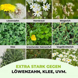Rasendünger mit Unkrautvernichter TerraUno