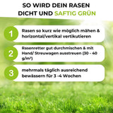 Infografik: Tipps für einen dichten, grünen Rasen 1. Kurz mähen und vertikutieren. 2. Tragen Sie TerraUno Rasenretter  Vertikutiermix 30-40g/m² für eine optimale Erholung auf. 3. Mehrmals täglich 3-4 Wochen lang gründlich wässern. Hintergrund der Rasenfläche.
