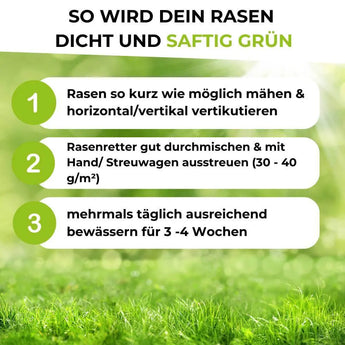 Infografik: Tipps für einen dichten, grünen Rasen 1. Kurz mähen und vertikutieren. 2. Tragen Sie TerraUno Rasenretter  Vertikutiermix 30-40g/m² für eine optimale Erholung auf. 3. Mehrmals täglich 3-4 Wochen lang gründlich wässern. Hintergrund der Rasenfläche.