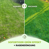Ein geteiltes Bild zeigt links einen fleckigen, stumpfen Rasen Vorher und rechts einen üppigen, leuchtend grünen Rasen Nachher. Dies veranschaulicht die sofortige begrünende Wirkung von TerraUno Speed Rasendünger N24 / SSA und zeigt, wie Sie Ihren Rasen schnell düngen können, um sichtbare Ergebnisse zu erzielen.