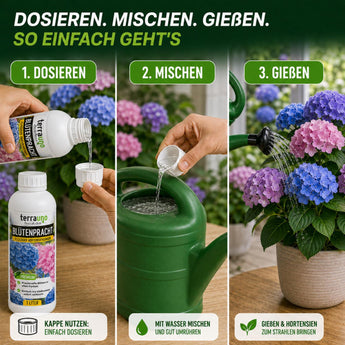 Blütenpracht Anwendung: dosieren, mit Wasser mischen, gießen – 5 ml pro 1 Liter