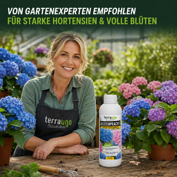 Blütenpracht von Gartenexperten empfohlen für starke Hortensien und volle Blüten
