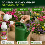 Blumenglück Anwendung: dosieren, mit Wasser mischen, gießen